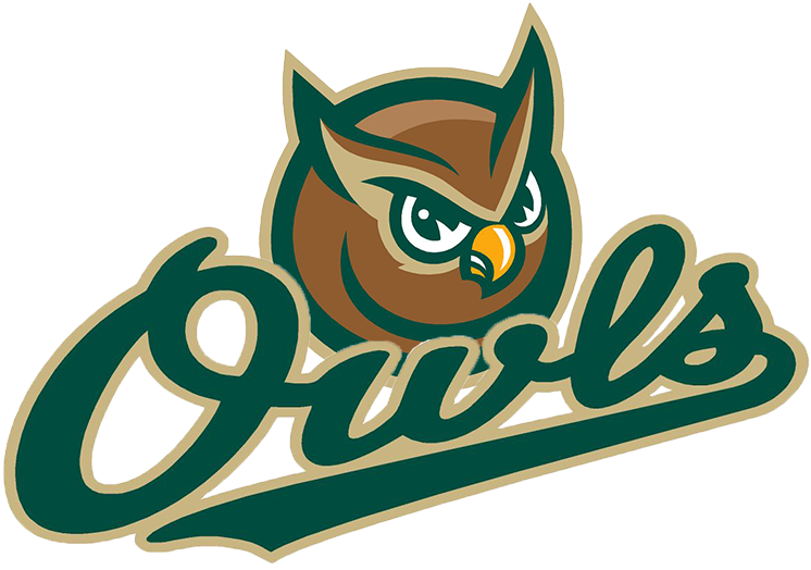 Forest City Owls 2008-Pres Secondary Logo iron on transfers for T-shirts
